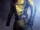 Reverse-Flash Arrow 0003.png