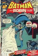 Batman Vol 1 240