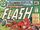 The Flash Vol 1 270.jpg