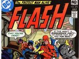 The Flash Vol 1 275