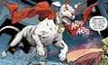 Krypto Prime Earth 002.png (2.71 MB) A very angry Krypto