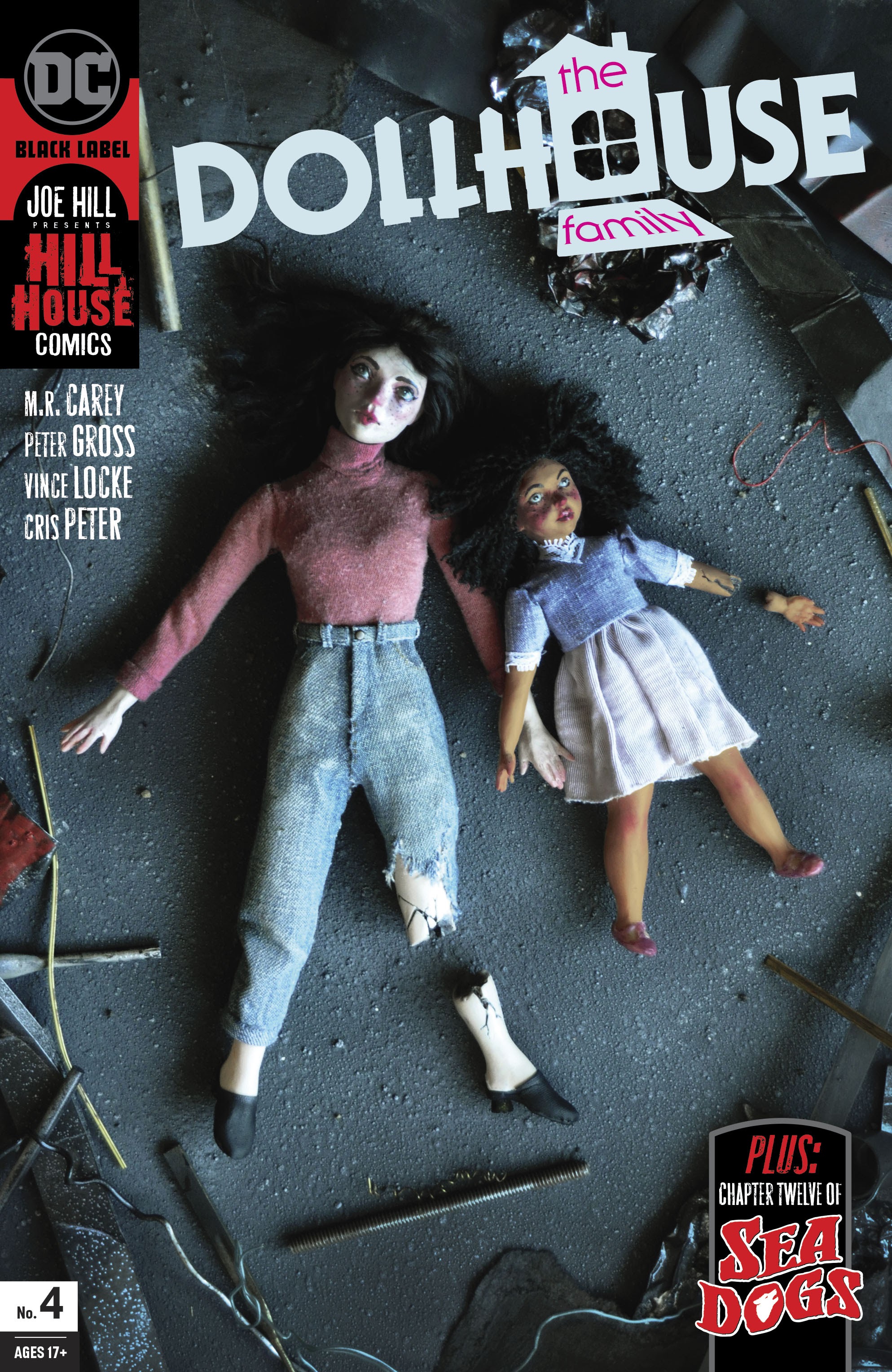 Dollhouse family 2024