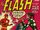 The Flash Vol 1 106