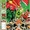 Green Lantern Corps Quarterly Vol 1 4