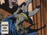 Batman Vol 1 446