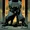 Bruce Wayne (Absolute Universe)