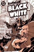 Batman: Black and White Vol 1 1