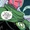 Iolande (Green Lantern: Legacy)