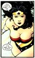 Wonder Woman 0211