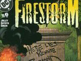 Firestorm Vol 3 6