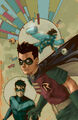 Robin Tim Drake 0043