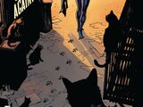 Catwoman Vol 5 38