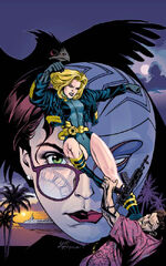 Birds of Prey 0001