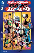 Harley Quinn and Her Gang of Harleys Vol 1 1