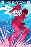 The Flash Vol 5 2