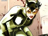 Catwoman Vol 4 3