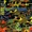 Shade, the Changing Man Vol 2 8