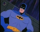 Bruce Wayne TV Series Adventures of Batman