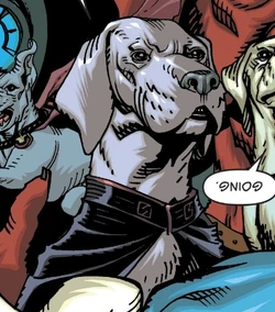 Krypto Earth 10 New Reichsmen