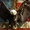 Eagly (DC Extended Universe)