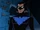 Richard Grayson (Teen Titans TV Series: How Long Is Forever)