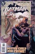 Batman Vol 1 613