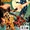 Fury of Firestorm: The Nuclear Men Vol 1 17