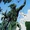 D'Kay D'Razz (New Earth)
