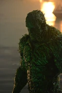 Alec Holland Swamp Thing 2019 TV Series 0001.jpg (227 KB) Swamp Thing Arrowverse Post-Crisis Earth-19