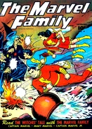The Marvel Family Vol 1 4