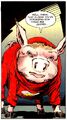 Flash Pig 001