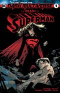 Tales from the Dark Multiverse The Death of Superman Vol 1 1
