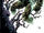 The Swamp Thing Vol 1 11 Textless Hotz Variant.jpg