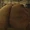 Nicholas the Butt (Doom Patrol TV Series)