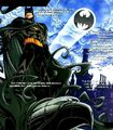 Batman 0501