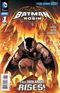 Batman and Robin Annual Vol 2 1