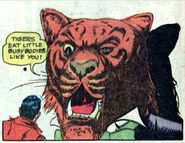 Talking Tiger Quality Universe Doll Man villain