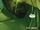 John Stewart Absolute Universe 0002.jpeg