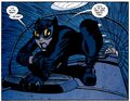 Catwoman 0051