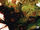 Poison Ivy Vol 1 10 Di Meo Variant.jpg