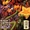 Stars and S.T.R.I.P.E. Vol 1 11
