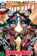 Young Justice Vol 3 17