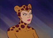 Cheetah TV Series Super Friends