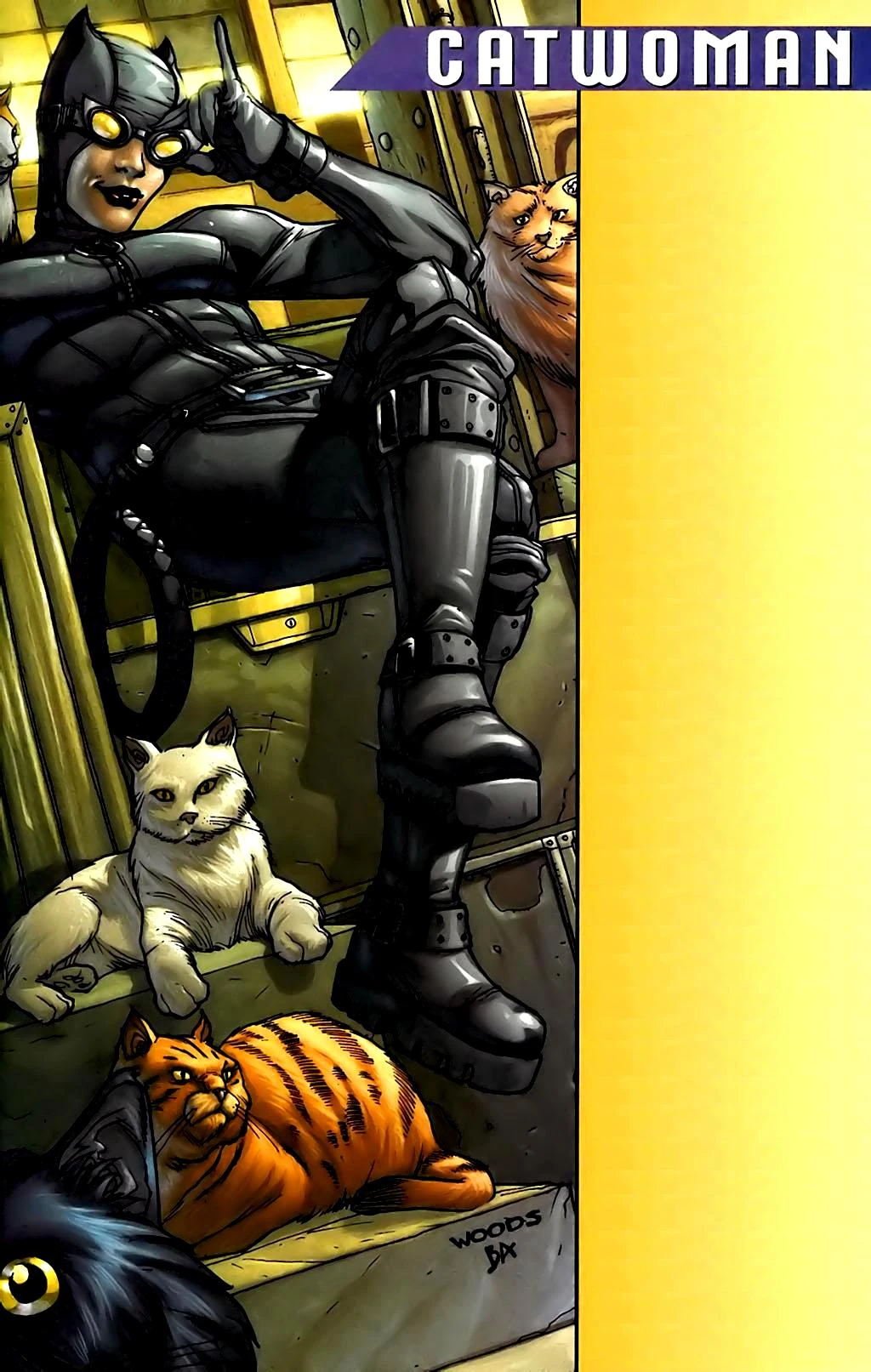 Catwoman's Cats Batman Wiki Fandom