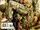 Sgt. Rock: The Lost Battalion Vol 1 5