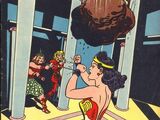 Wonder Woman Vol 1 28
