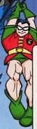 Robin Earth-508 DC Super Friends