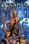 Aquaman: The Waterbearer (Collected)