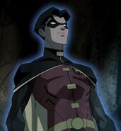 Robin Earth-16 Young Justice