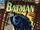 Batman Vol 1 507